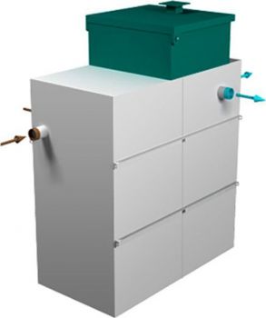 Астра 10 миди